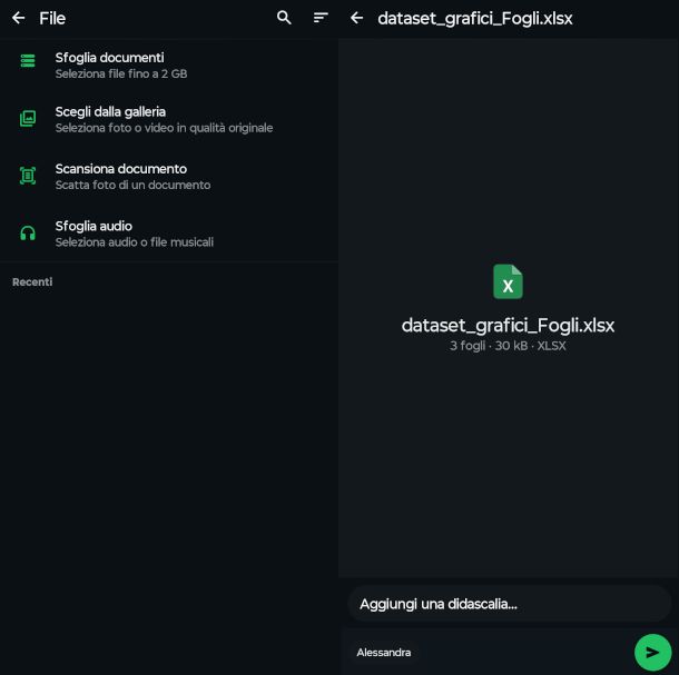 schermate app WhatsApp per invio documenti in chat