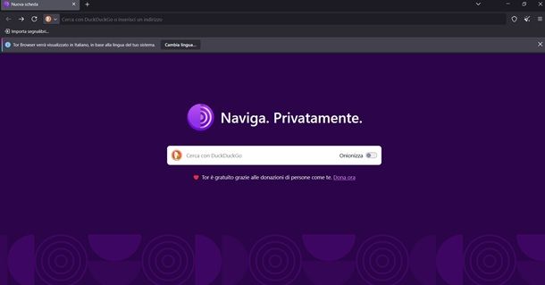 tor browser