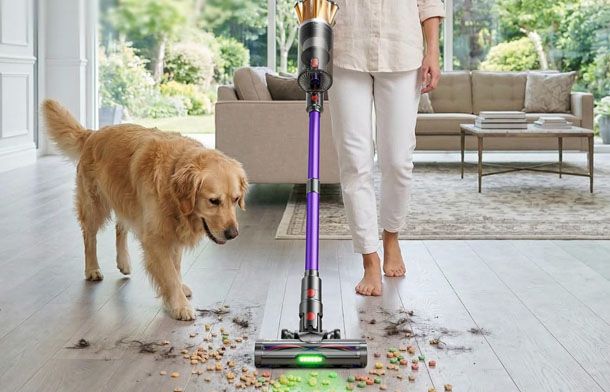 Aspirapolvere senza fili per i peli di animali