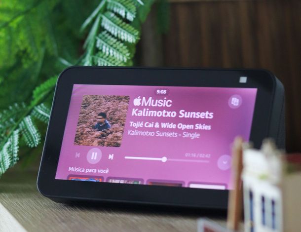 Ascoltare musica con Alexa su Echo Show
