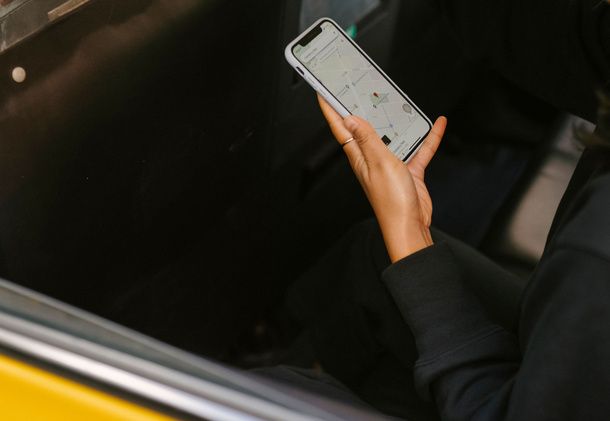 App per localizzare il cane sulla mappa