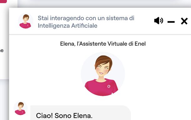Chattare con Elena Enel PC