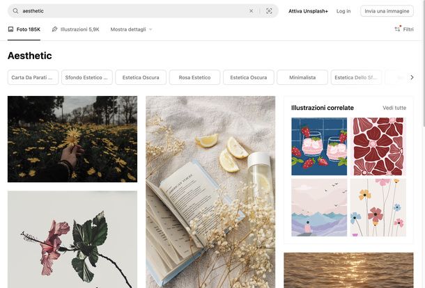 Cercare wallpaper aesthetic su Unsplash