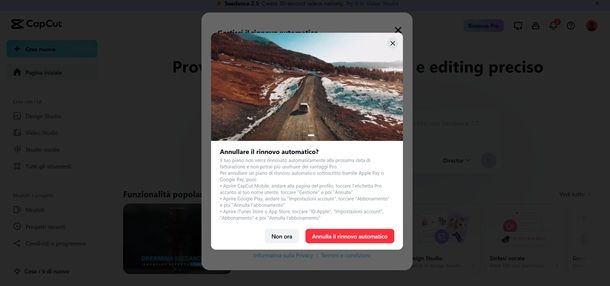annullare abbonamento capcut