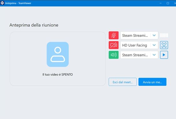 teamviewer meeting