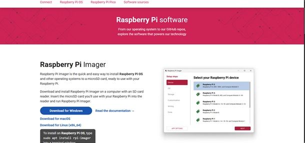 raspberry