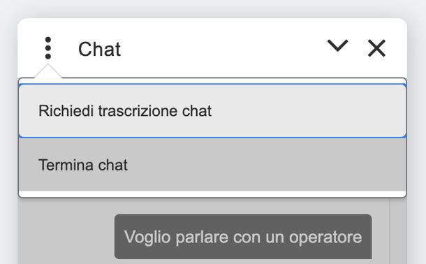 Scaricare trascrizione chat Nau NOW PC