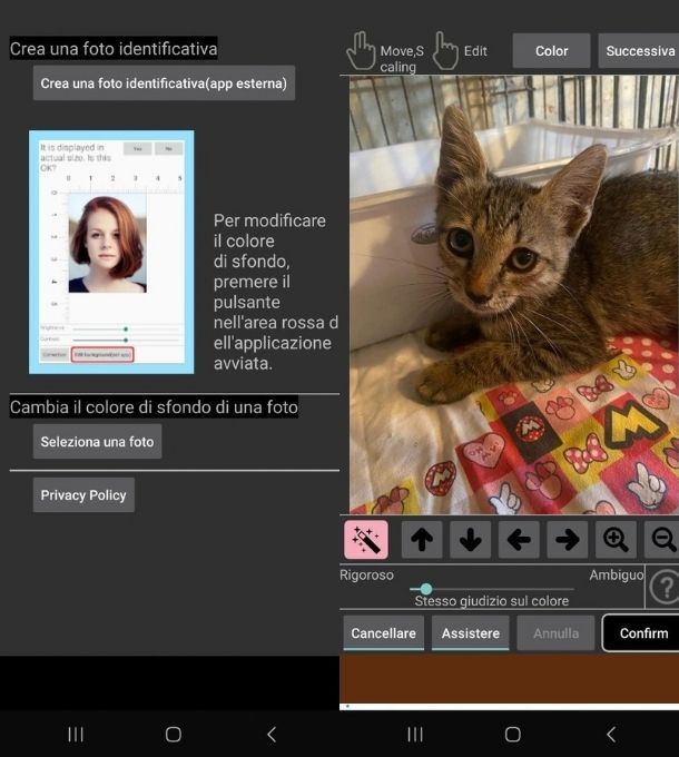App per fototessera