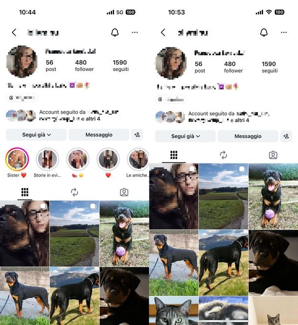 storie in evidenza Instagram