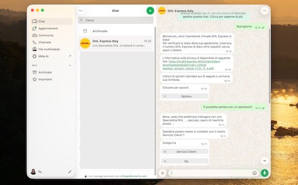 DHL Express su WhatsApp