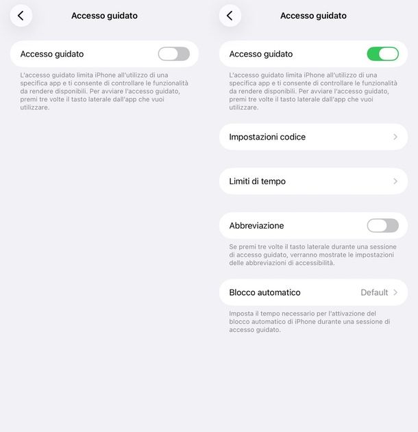Accesso Guidato iPhone iPad