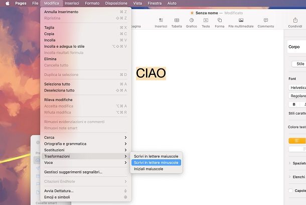 tutte minuscole su pages