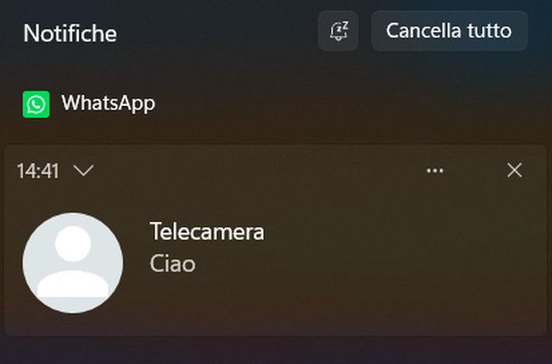 Vedere notifiche WhatsApp Windows