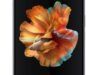 Xiaomi Mi Mix Fold