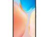 vivo X70